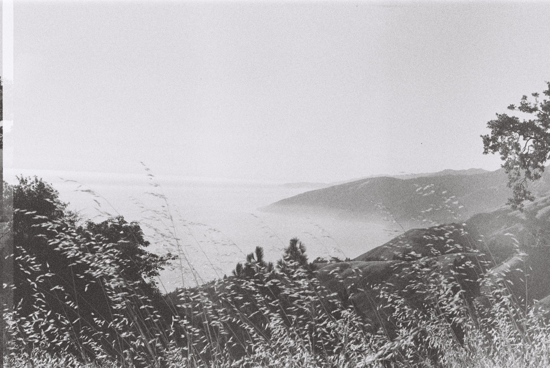 Black-and-white photograph of a misty coastline seen over wind-bent grasses and descending hills.