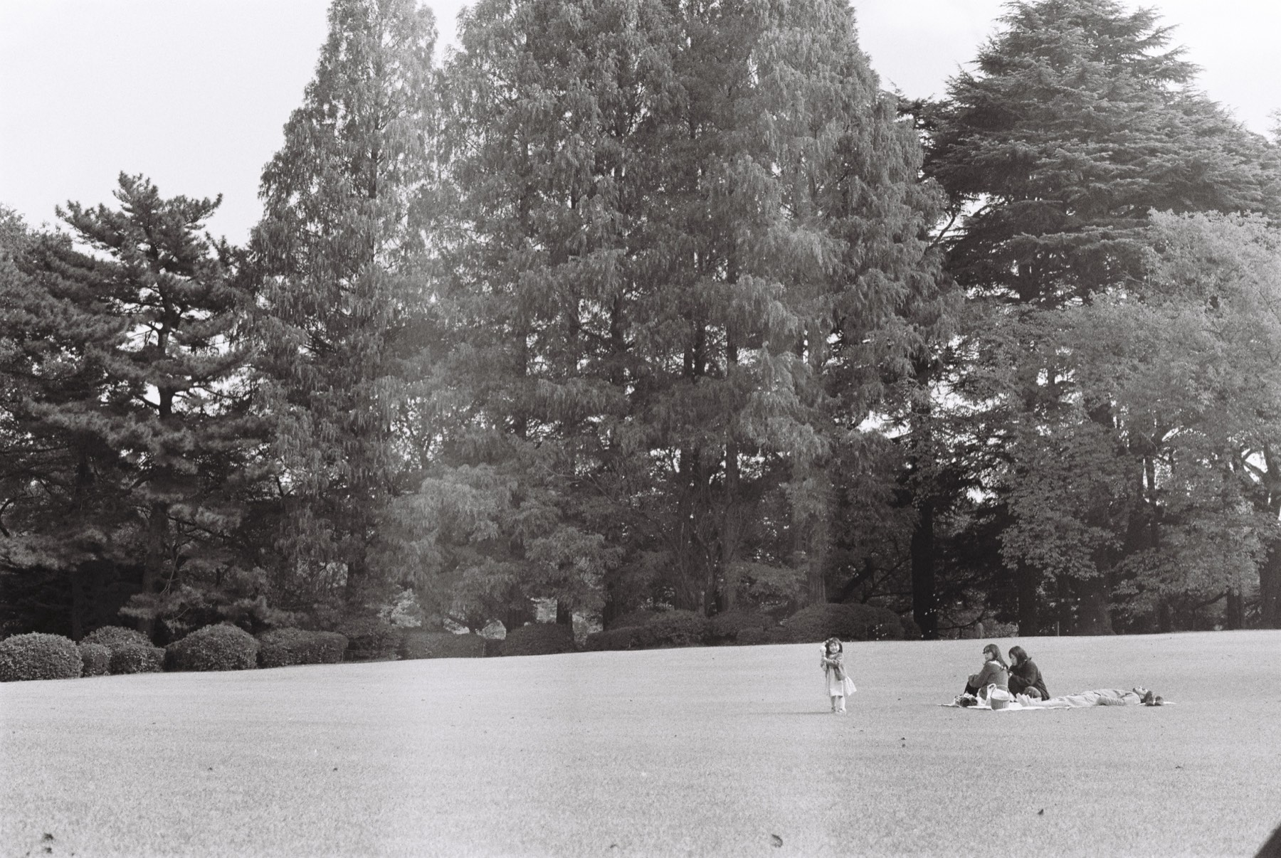 Black-and-white photograph of a family on a wide park lawn beneath tall trees, a child standing nearby.