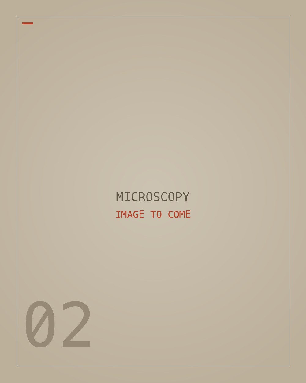 Placeholder — a microscopy photograph to come.